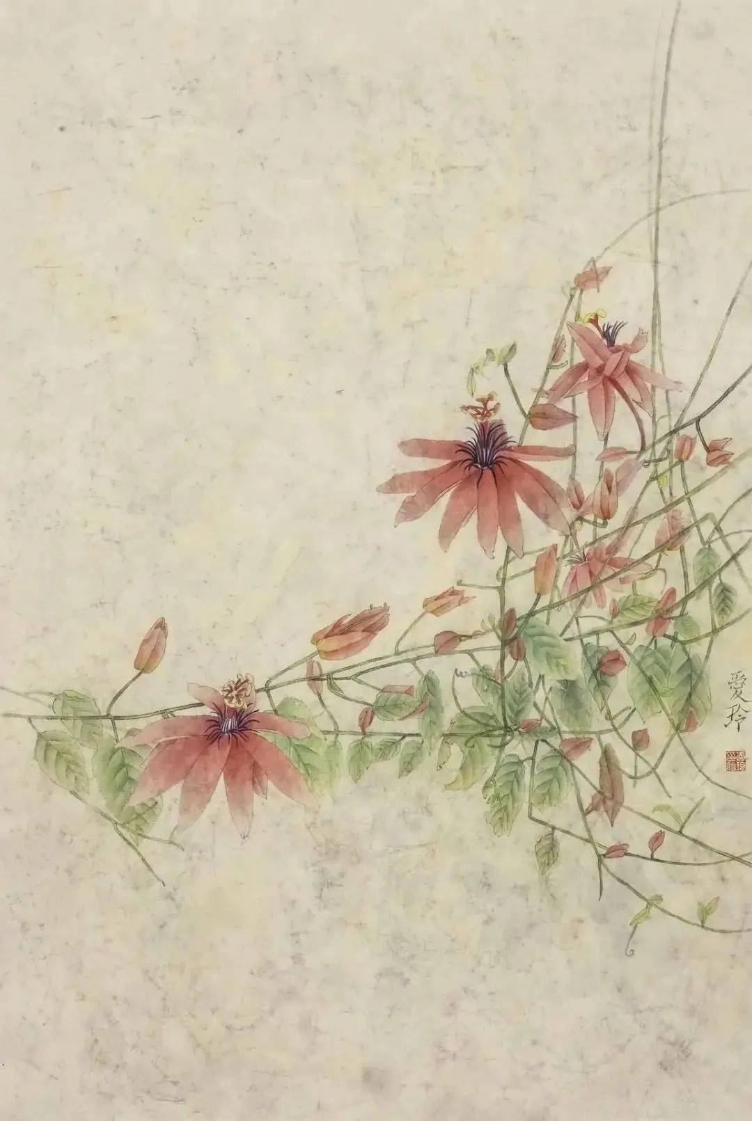 张爱玲的工笔花鸟画39图象一首首流淌的诗意