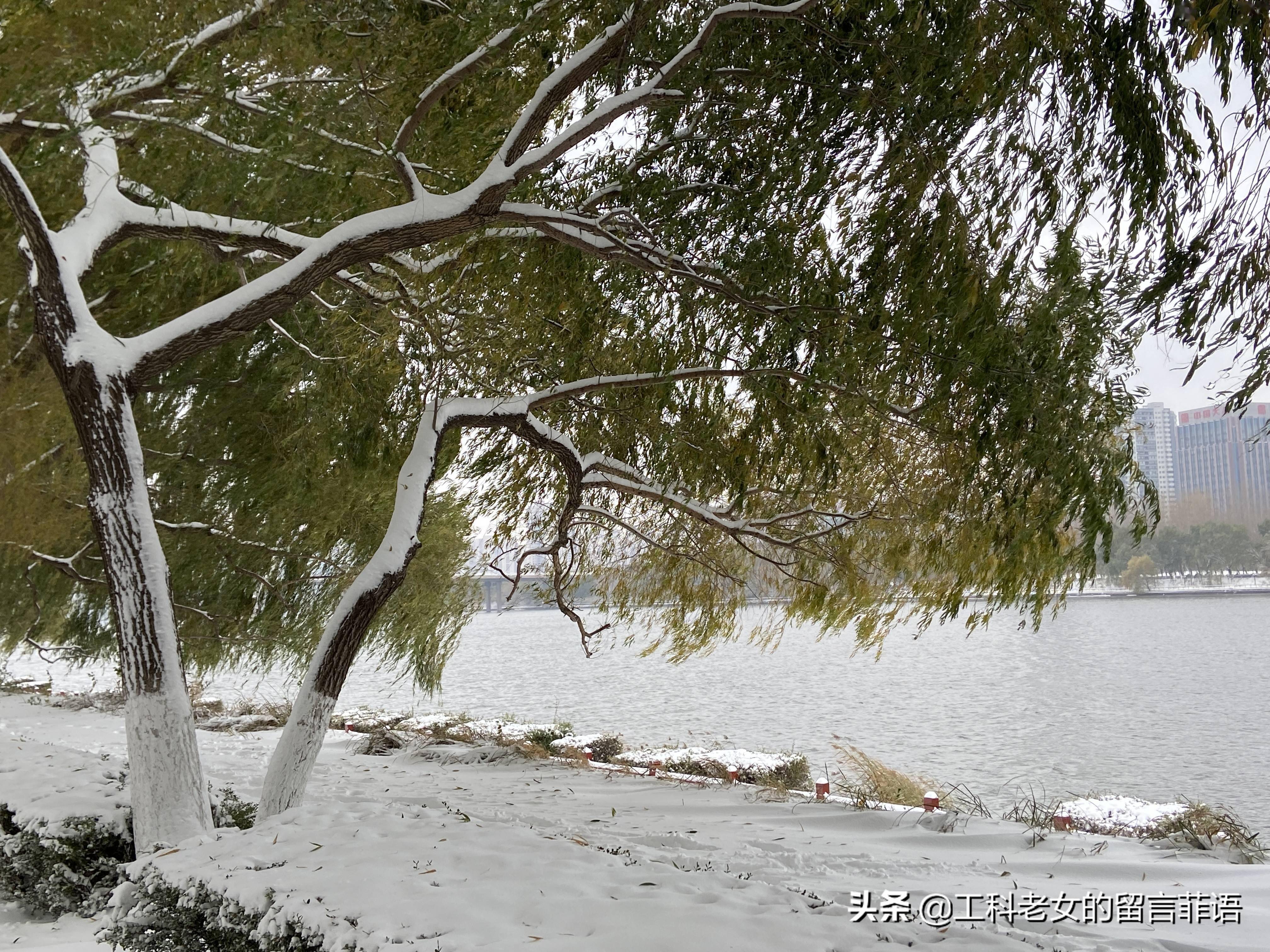 沈阳 暴雪证明