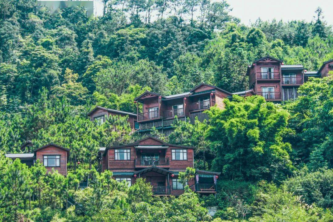 广东天露山旅游度假区获评"广东摄影目的地"称号_杜鹃花