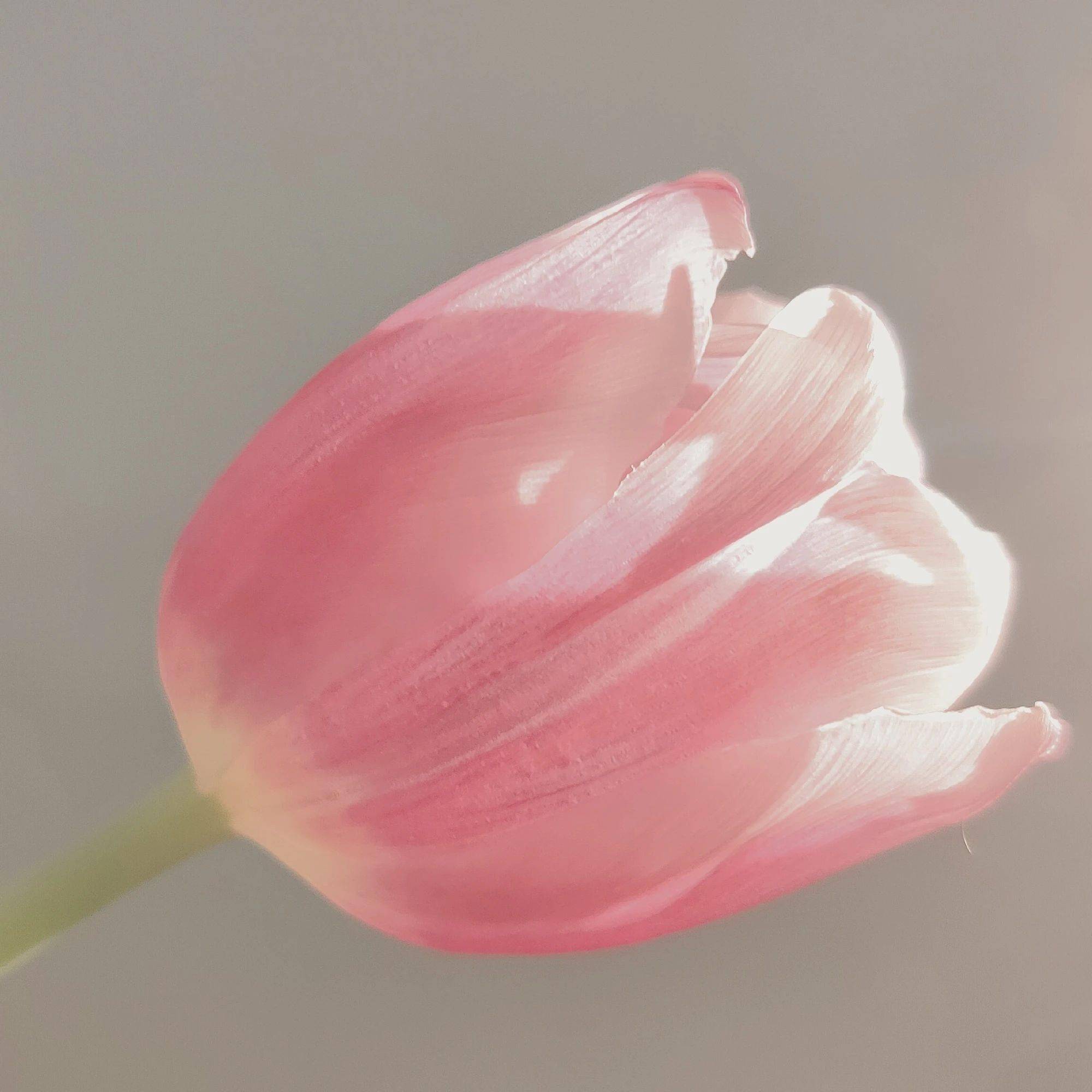 能够推动爱情的从来就不是什么新鲜感,也不是短暂时间内的热情,而是