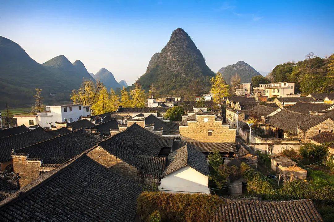 限定银杏黄惊艳上线!对不起,我要去兴安了……_摄影