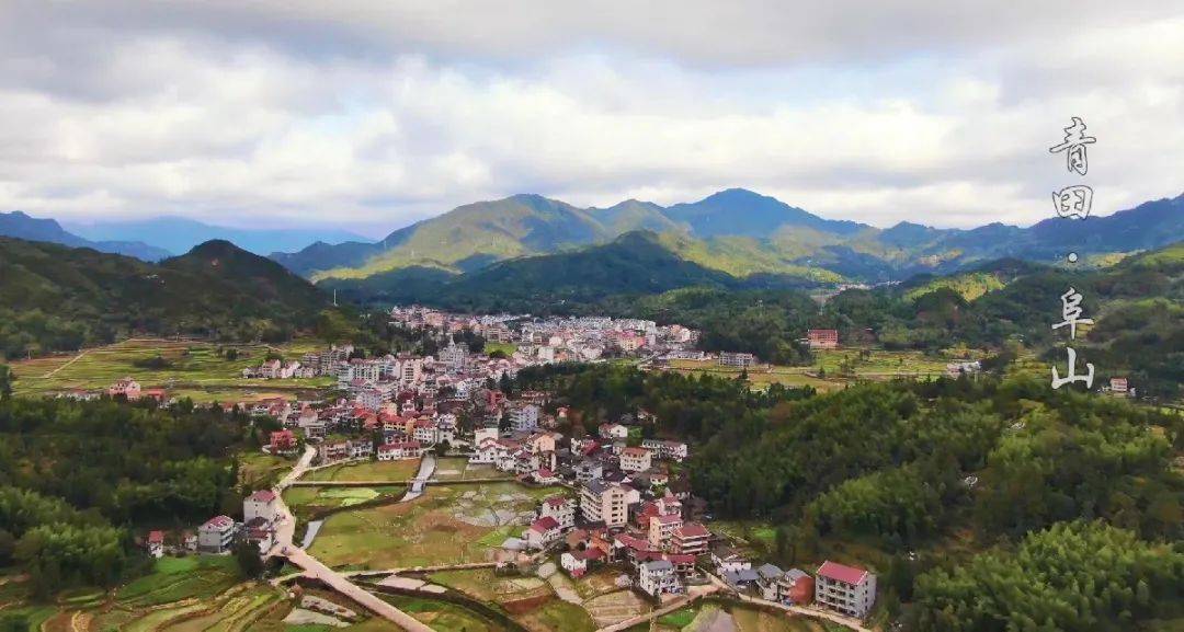 菊花呢~刚刚结束的皇菊节活动里在青田县阜山乡是采摘皇菊的最佳时期