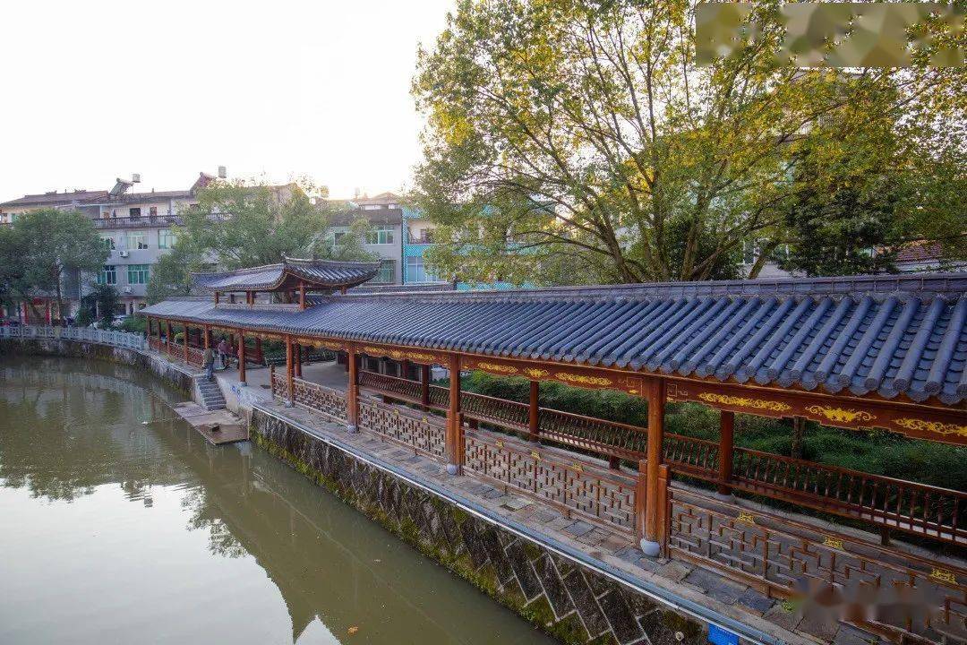 惊呆永康这个镇变了个样