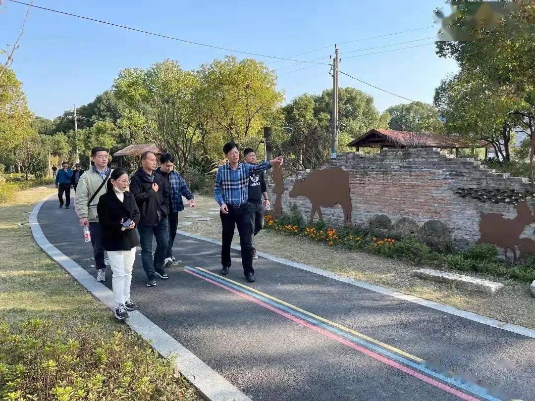 许村镇迎接海宁市星级共同富裕村转型升级创建现场检查