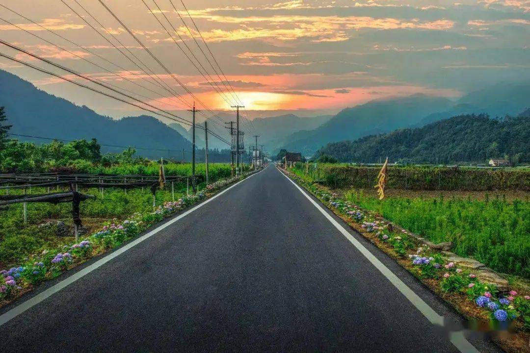 台州有两条全国美丽乡村路,一路都是美景