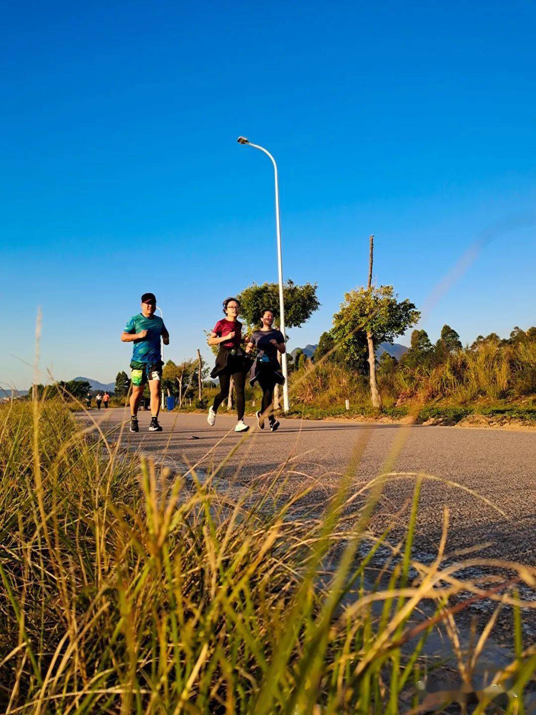衙前绿道--如此撩人_活动