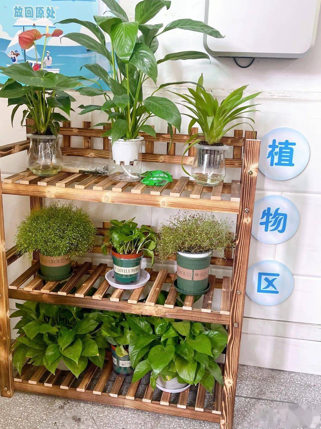 活动充分调动学生参与的积极性,让学生用自己的智慧和双手来布置教室