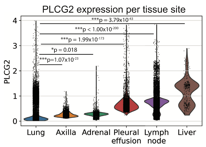 细胞|《细胞》子刊：“小恶魔”大起底！小细胞肺癌究竟为何如此凶残？