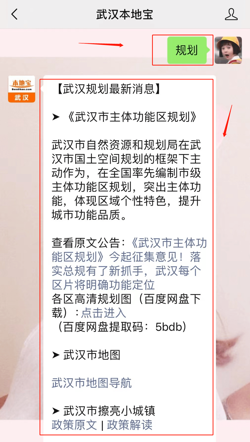 光谷长江大桥批复图片