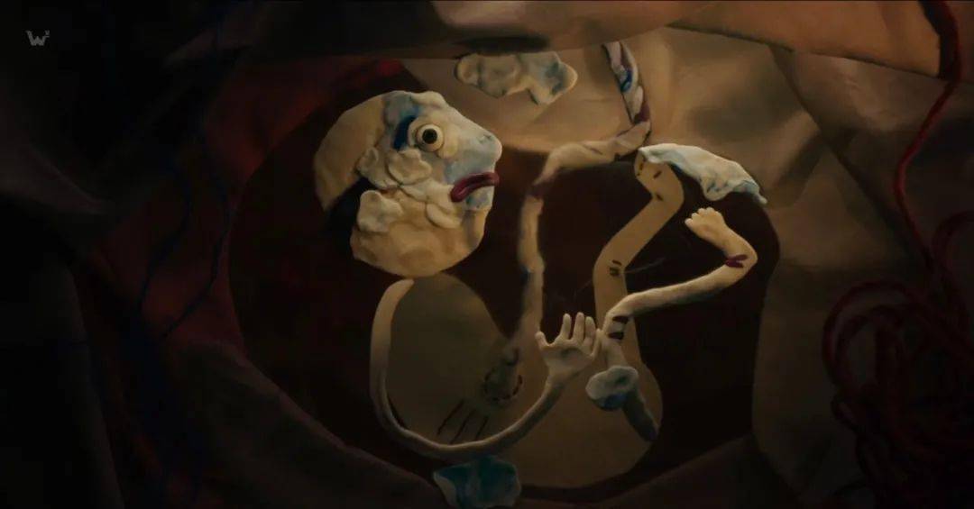 肚皮|这就是小众、又独特的“她”！