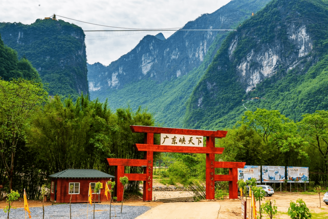 【为民履职办实事】阳山县岭背镇人大聚焦生态环保,发挥职能作用推动