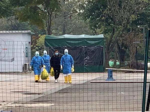 方案|刚刚，出院！