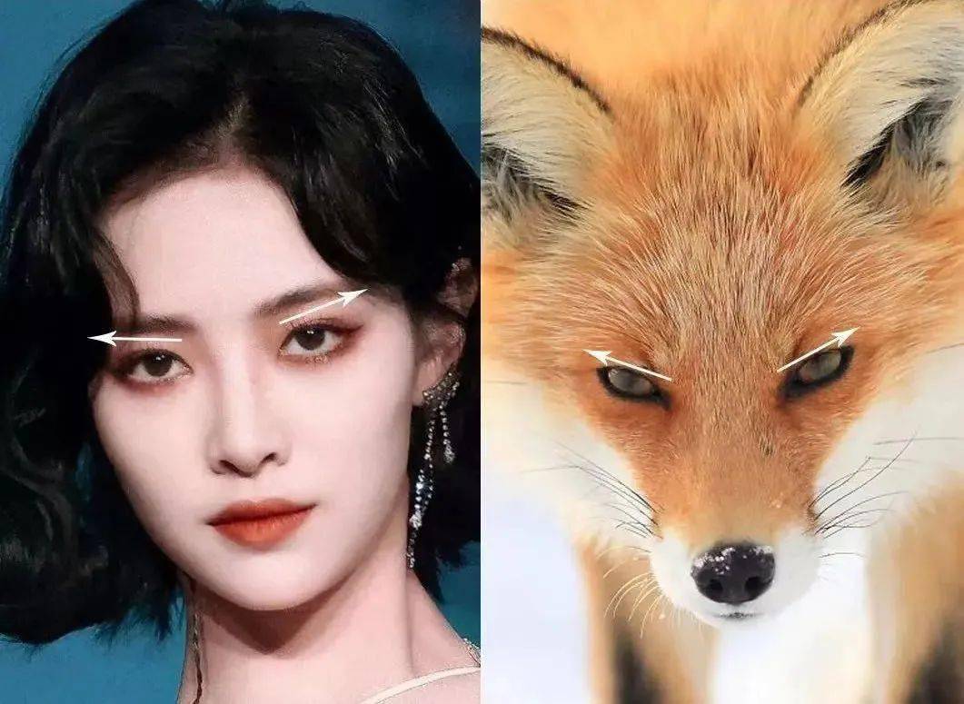 上翘的眼睛会自带魅惑的感觉,眉尾微微上翘,狐狸自有的凌厉感油然而生