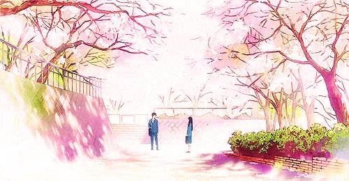 500_260gif 动态图 动图