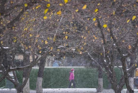 雪板|追光|“季节性友谊”重启 快带上雪板咱们“山顶见”