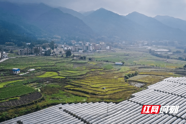 蓝山|湖南蓝山：初冬乡景