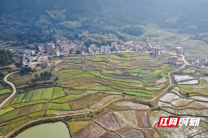 蓝山|湖南蓝山：初冬乡景