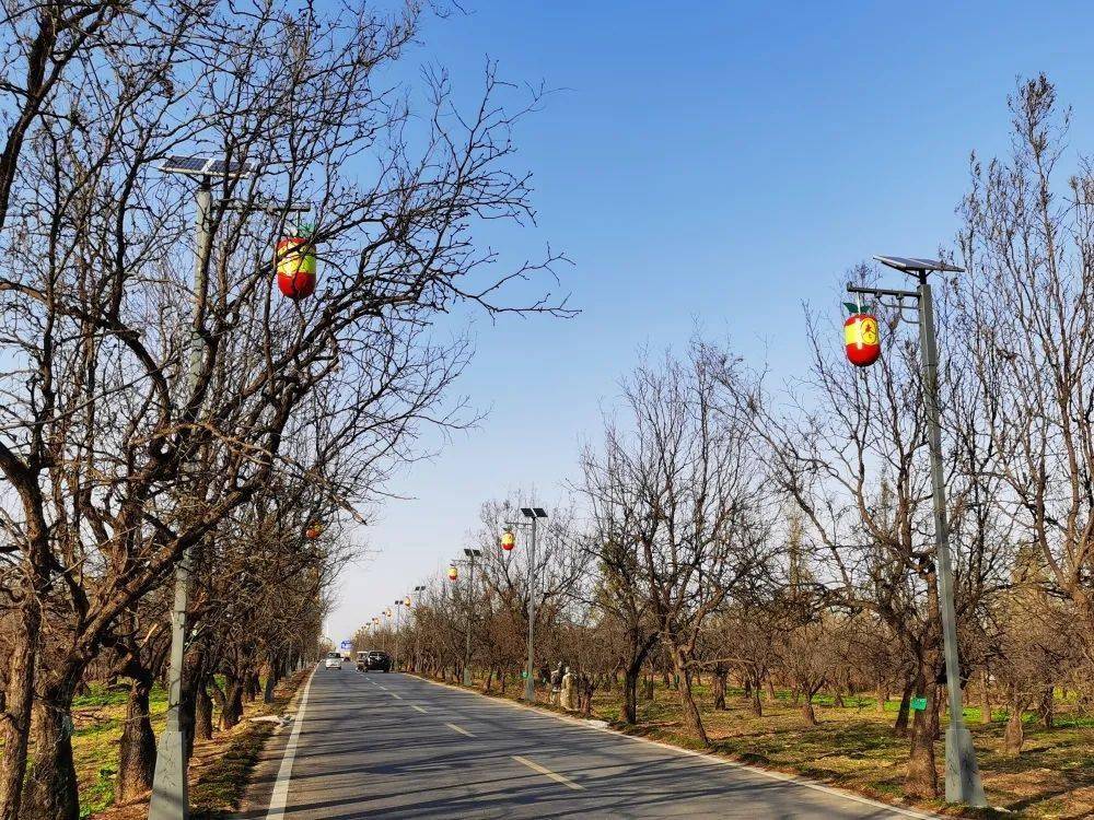 改善人居环境,新郑这个村成功擦亮乡村振兴底色!_孙村