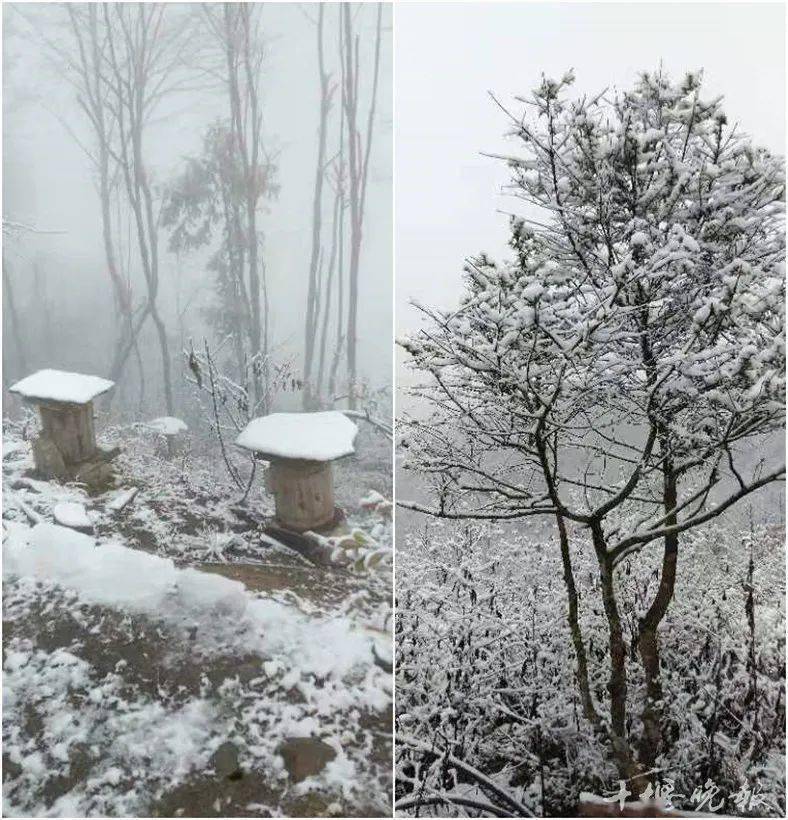 房縣九道鄉八里坡高山地區有網友爆料今天下午5點多十堰已出現降雪