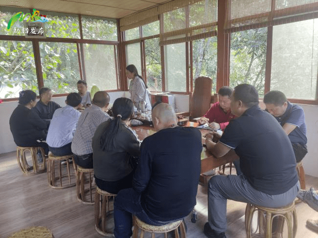 西南林业大学专家来勐腊县考察调研茶产业_茶树