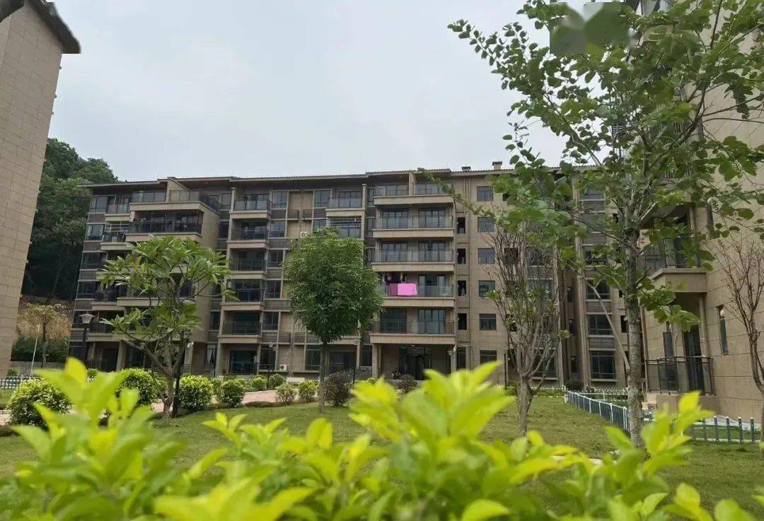 金城嘉园业主徐培芬高兴地说,"今年3月拿到了不动产权证,激动又开心