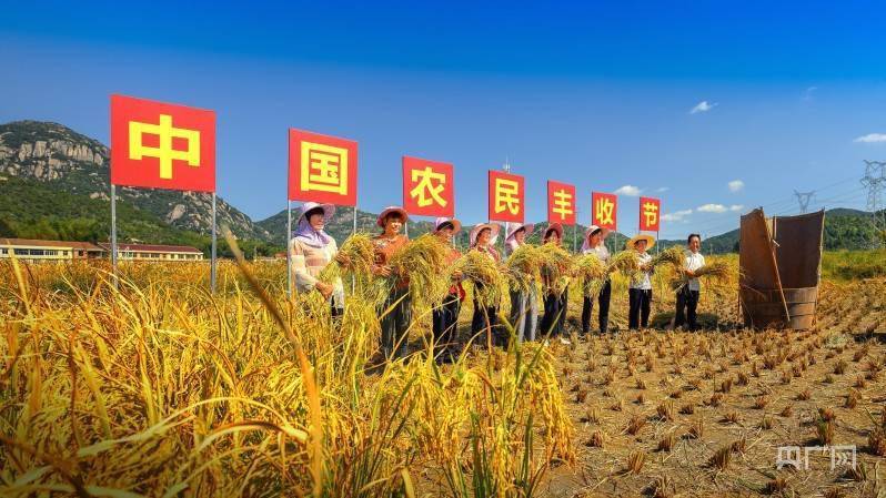 仙游县|乡村振兴看福建|钟山镇：“高山小平原”的果蔬振兴路