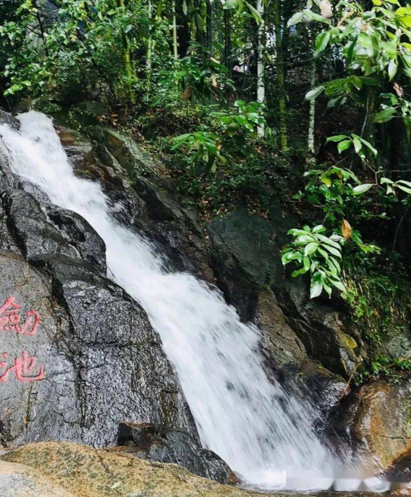 在莫干山蔭山山谷中,傳說為莫邪,干將磨劍處.