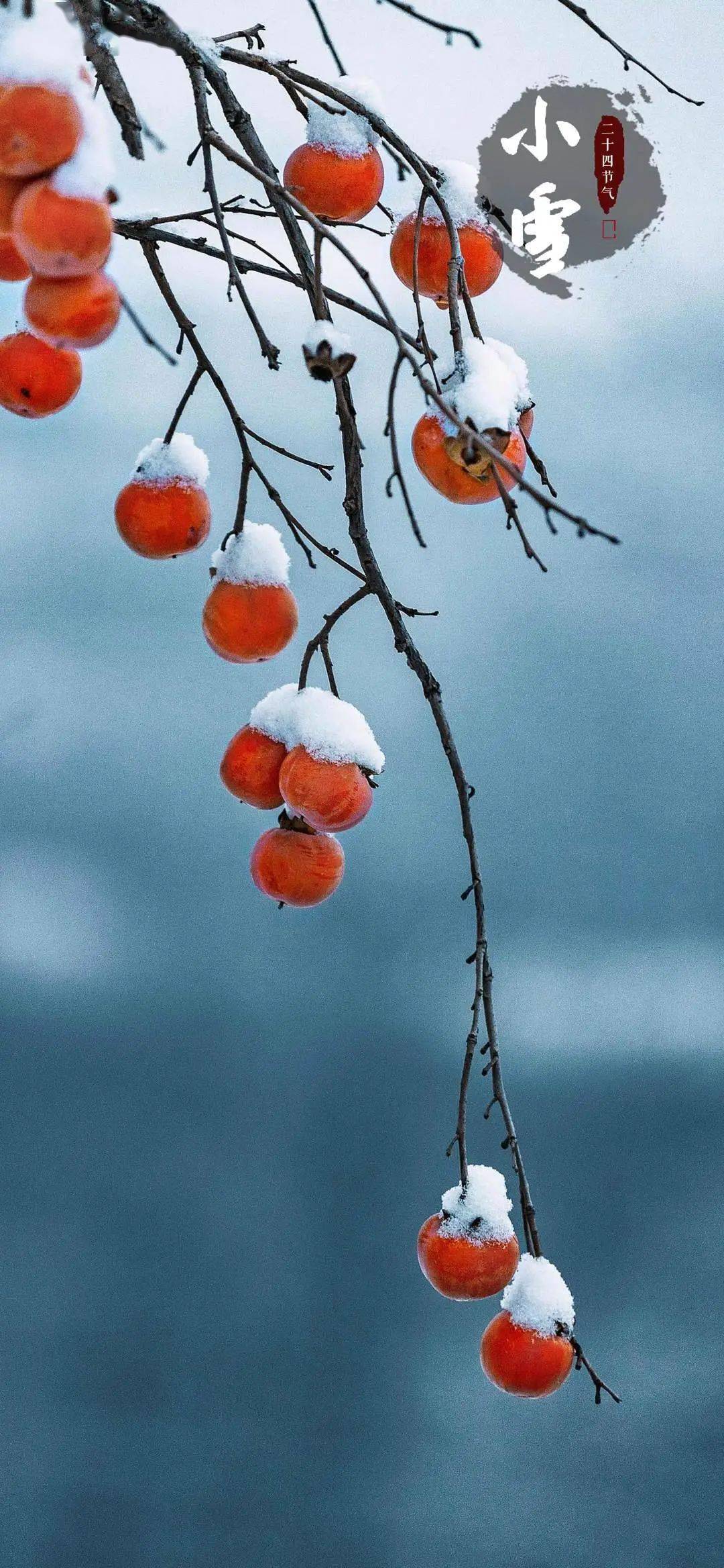 冷空气|小雪：花雪随风不厌看，又是一年小雪时