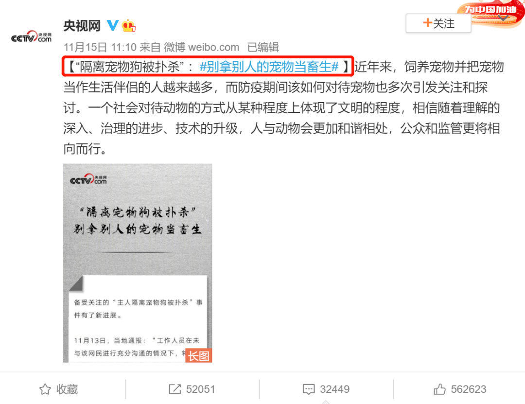 传染给柯基“炒粉”上了央视新闻，卫健委专家明确表示...