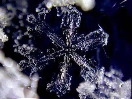 冷空气|小雪：花雪随风不厌看，又是一年小雪时