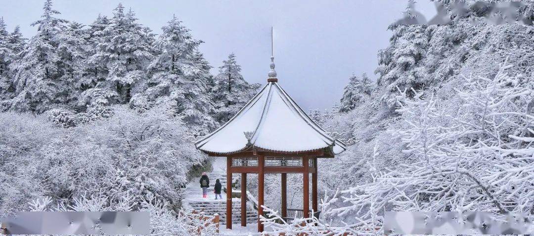 峨眉山地震了吗