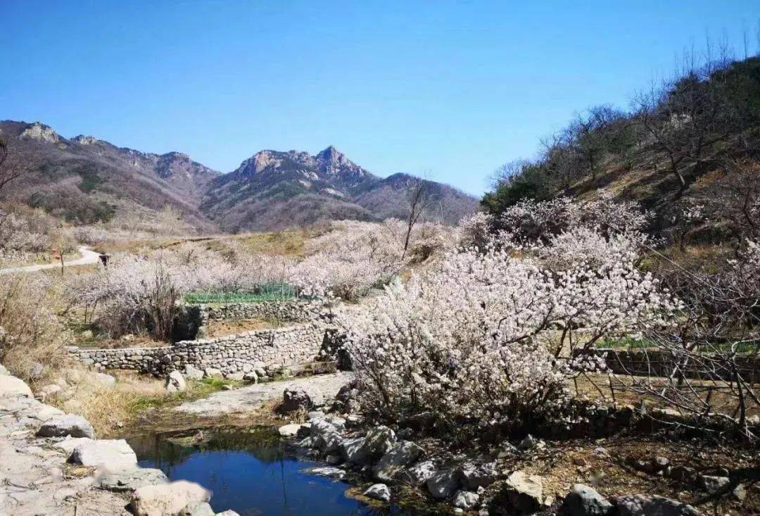 叩官一村庄入选!_董家楼村