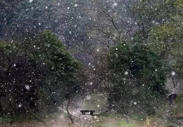 今日小雪饫甘餍肥都为生阳风霜雨雪皆是恩泽