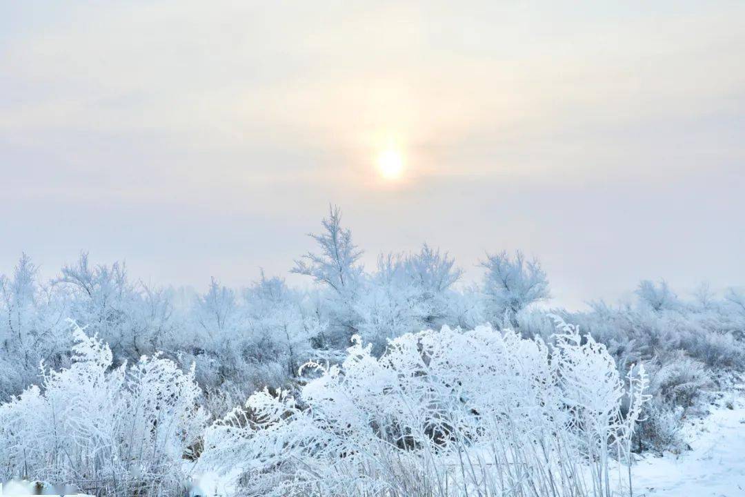 南方|??今?日?小?雪??