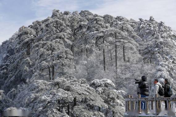 安徽黄山：小雪节气迎入冬初雪