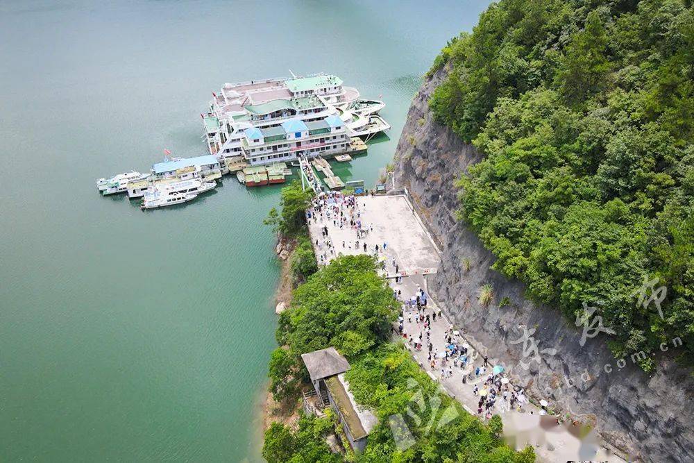 贯彻全会精神 推进绿色崛起丨打造"诗画水布垭"_水布垭镇