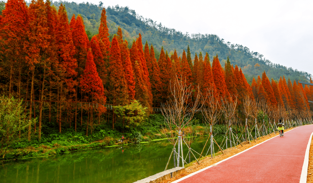 缤纷季节相约万年浦江_摄影