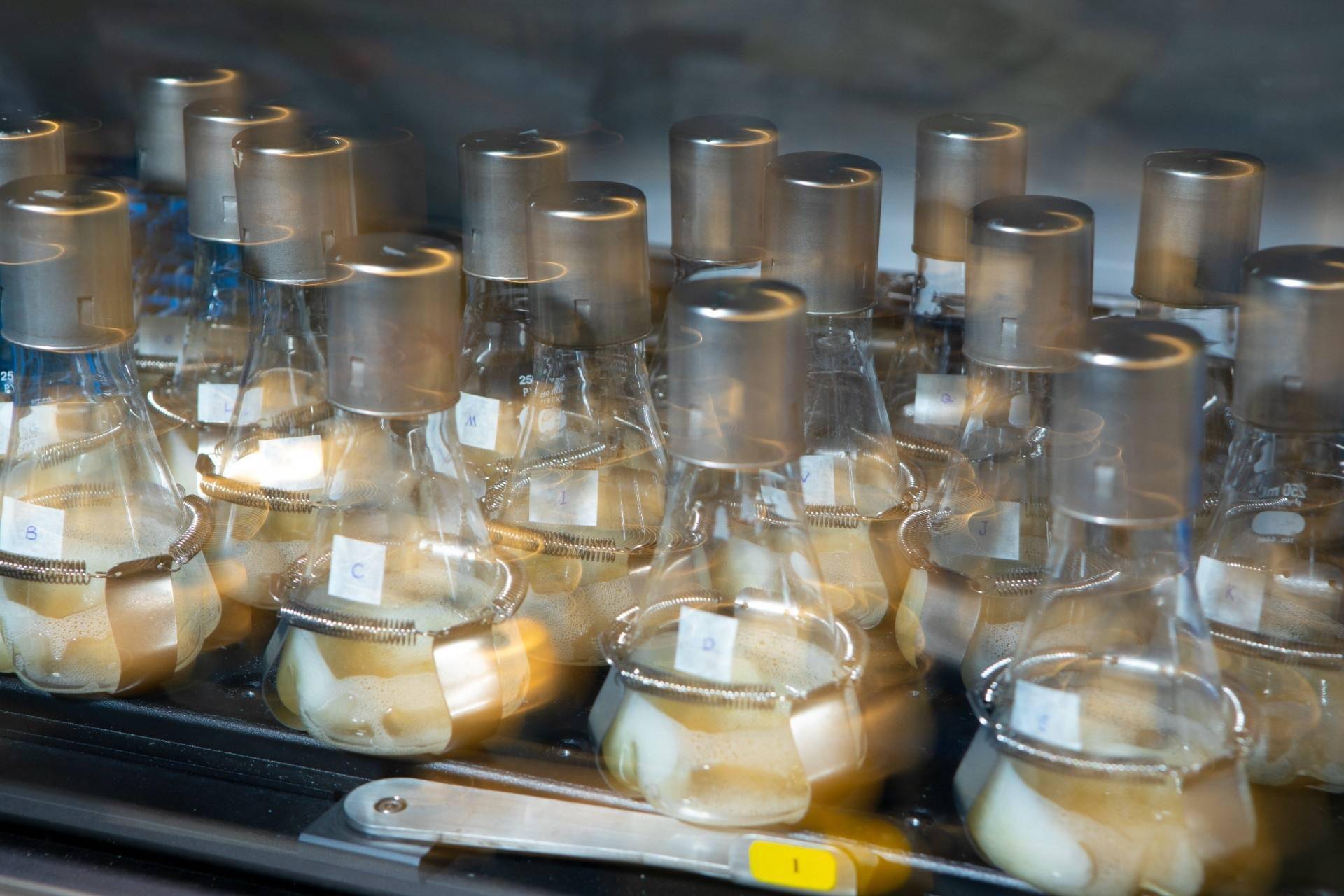 《自然-化学》：基因工程大肠杆菌可变葡萄糖为一种燃油成分