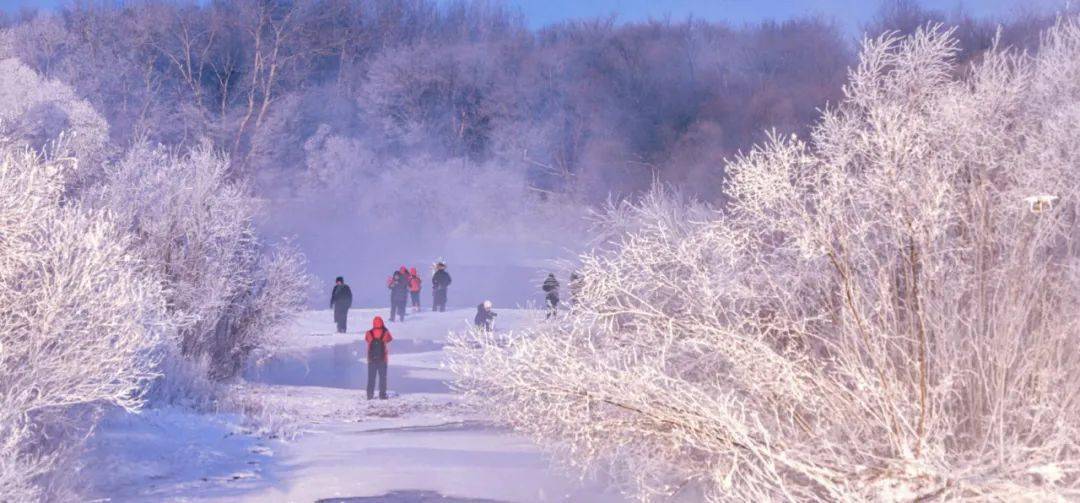 這個冬天,鶴崗請你看雪,也把最美的冰雪故事講給你聽!