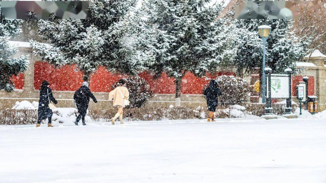 网友眼中的吉林绝美雪景，哪张是你心中的Top1~