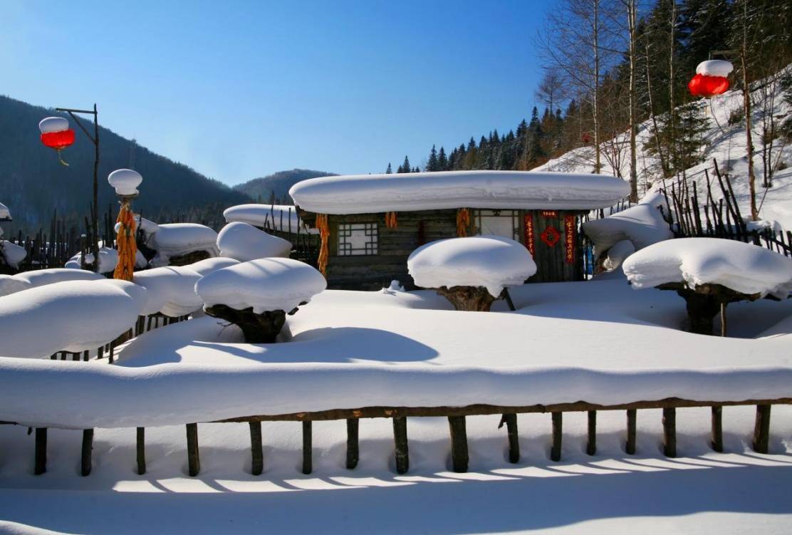 龙江|冬季龙江怎么玩？这五大冰雪旅游景区带你走进冰雪童话王国