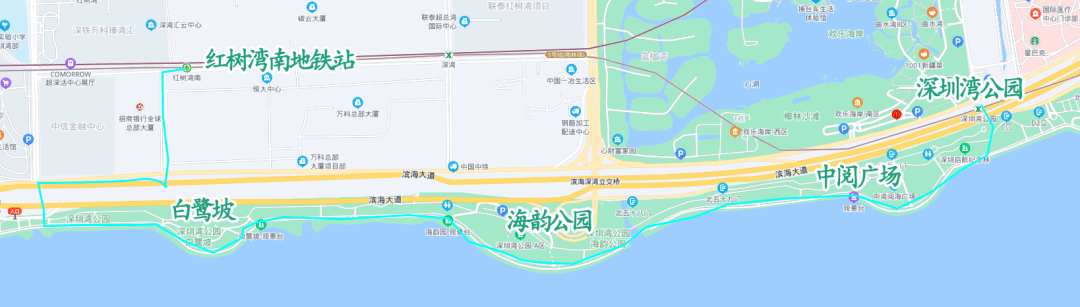 深圳湾公园线路图图片