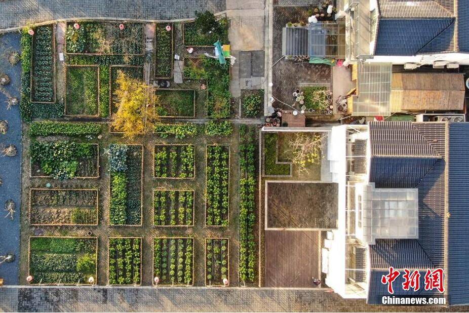 航拍江苏昆山周庄美丽乡村冬日多彩画卷_泱波