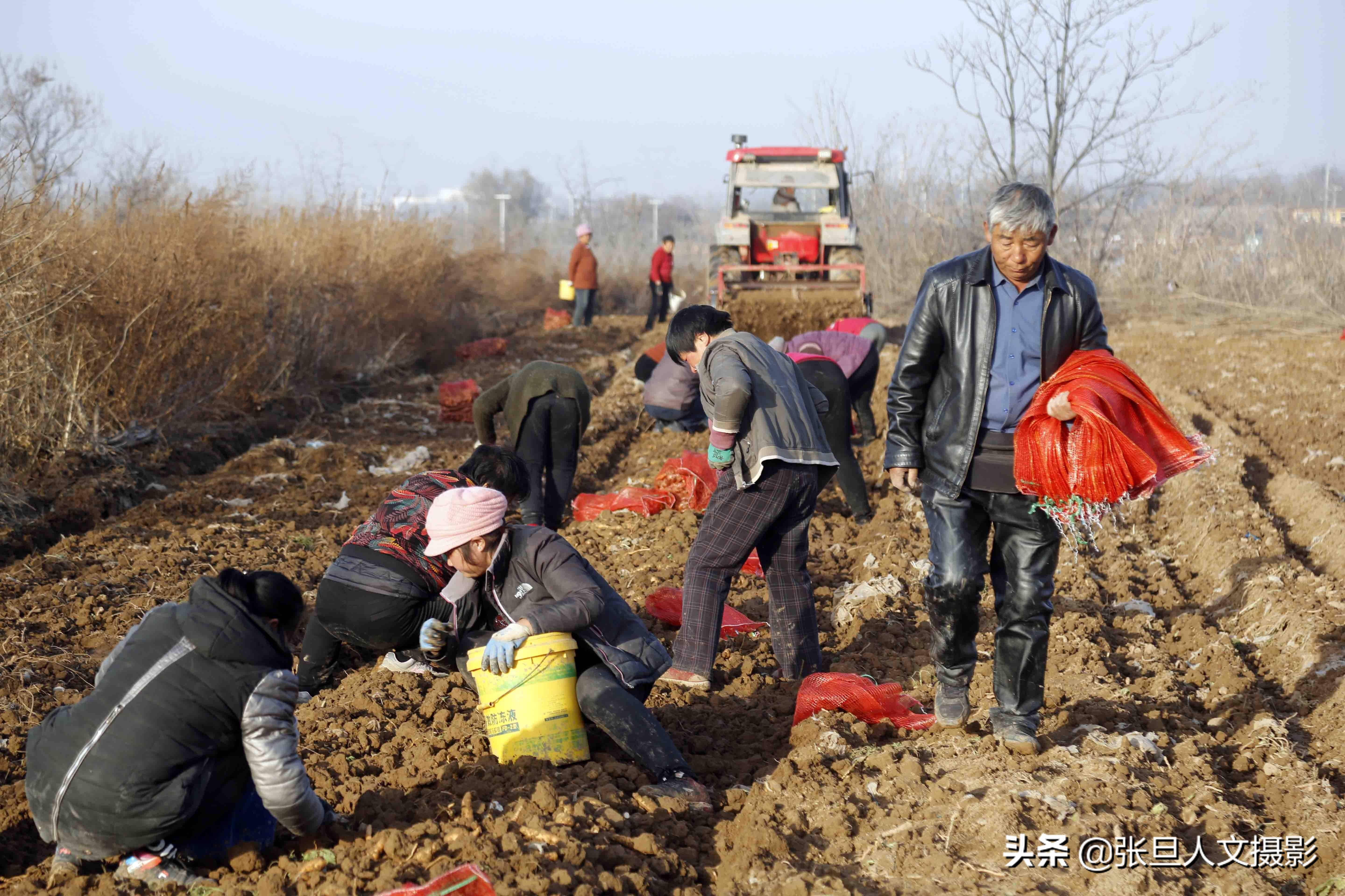 60岁山西农村老汉人送绰号张百万赚钱致富有点子