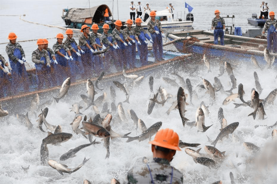 艺术课堂进社区第三期:《我捕捞的小鱼》_海洋