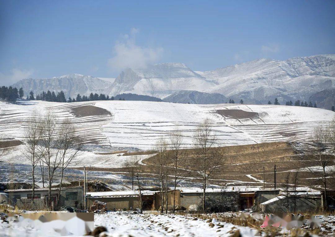 冬季到天祝哈溪林区来看雪_甘肃