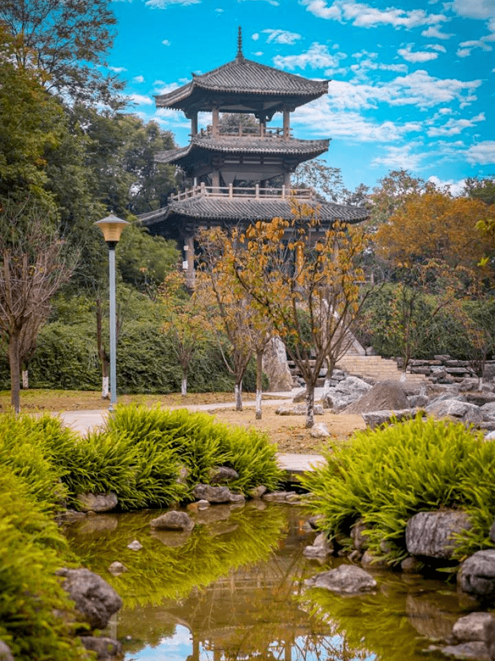 青白江的美好,等你来感受!