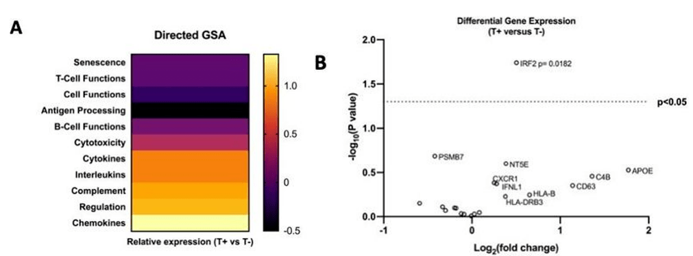 Treg|免疫治疗前用TACE铺路，或是肝癌治疗的全新妙招！