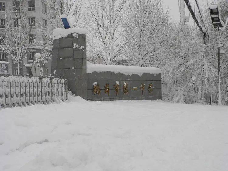 还有一小部分望子成龙的家长,则是冲着鹤岗一中的教学质量,来这里落户
