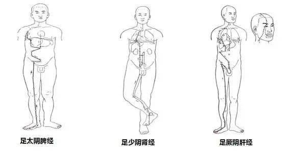 如何增强下肢肌肉 ebfcacbb1f4e491191dfab2606af68db.jpeg